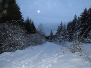 Snow last week on the Jenkin Stage - Courtesy of Lewis Boyd.